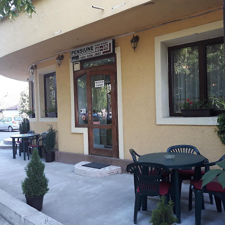 Pensiunea Sydney Timisoara Exterior foto