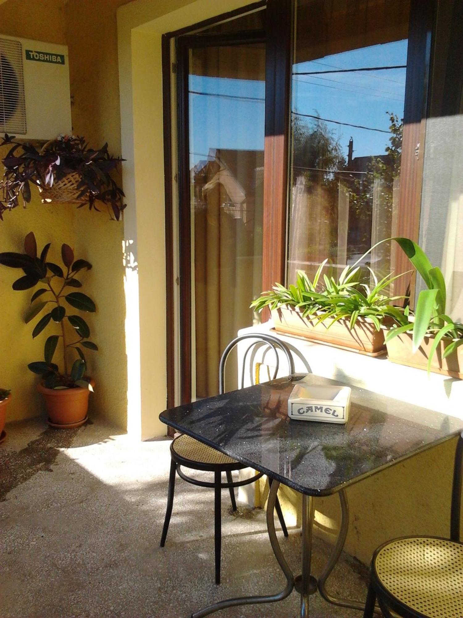 Pensiunea Sydney Timisoara Exterior foto
