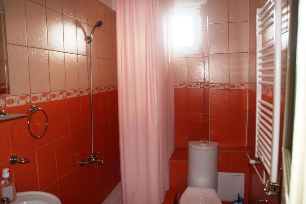 Pensiunea Sydney Timisoara Habitación foto