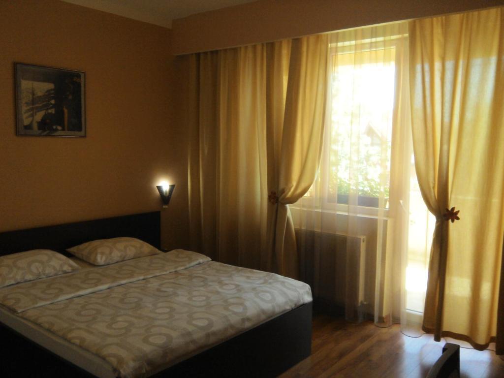Pensiunea Sydney Timisoara Exterior foto